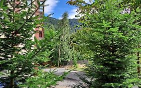 Sinaia Relax Residence
